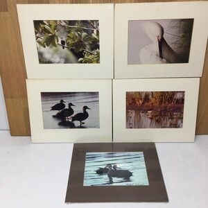 Michael Halminski Photography lot of 5